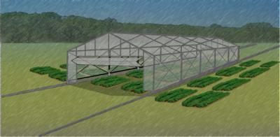 Rendering of a Drought Simulator
