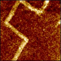 Rod-Shaped Nanorobot