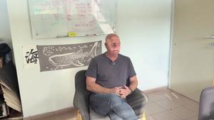 Bar-Ilan University Study Uncovers the Origin of Sleep in Jellyfish and Sea Anemones