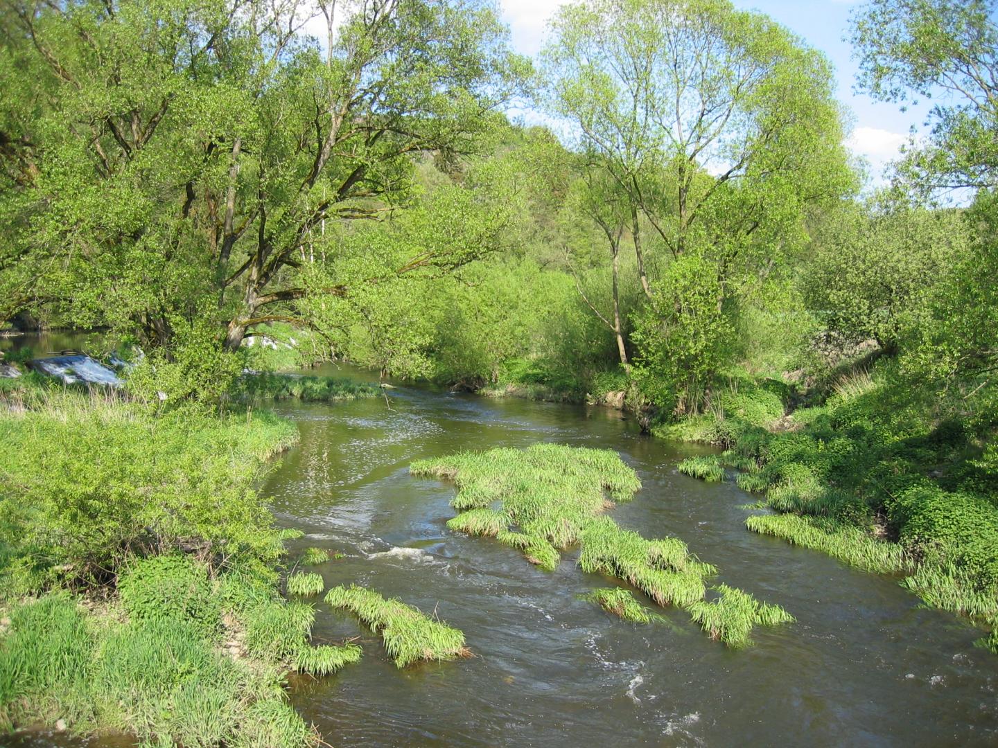 Preservation of Floodplains Is Flood and Diversity Protection