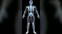 Public's Poor Knowledge of Anatomy May Hamper Healthcare