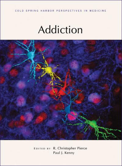 <i>Addiction</i>