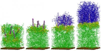 Self-Generating Composite Image