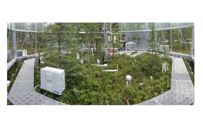 In Peatland Soil, a Warmer Climate and Elevated Carbon Dioxide Rapidly Alter Soil Organic Matter
