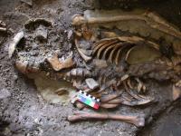 Kotias Skeleton