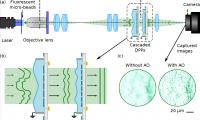 Schematic layout of the developed fluorescence microscope; view of the cross-section of cascaded DPPs.