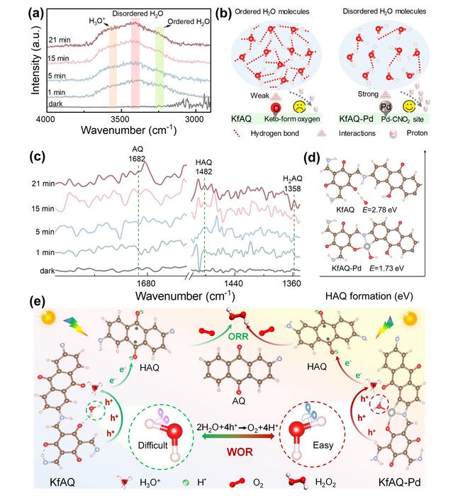 Pd–CNO2 enhances efficient H2O2 photosynthesis on keto-form anthraquinone-based covalent organic framework