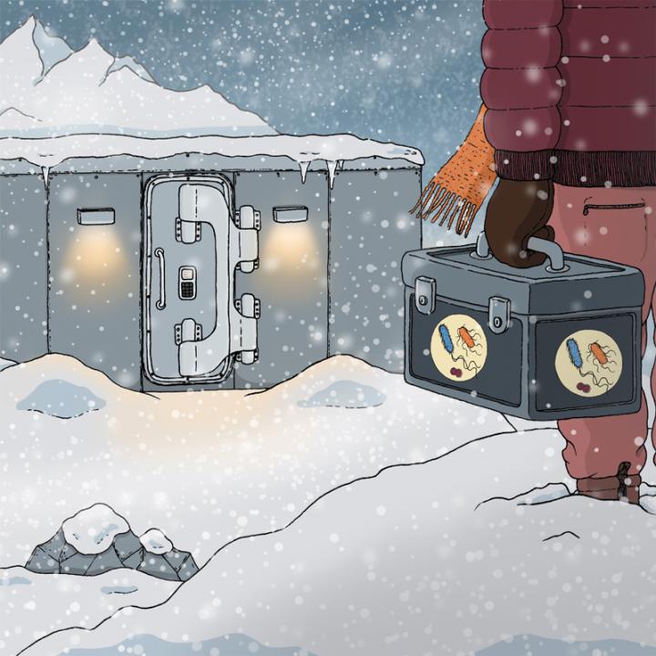 Microbiota Vault