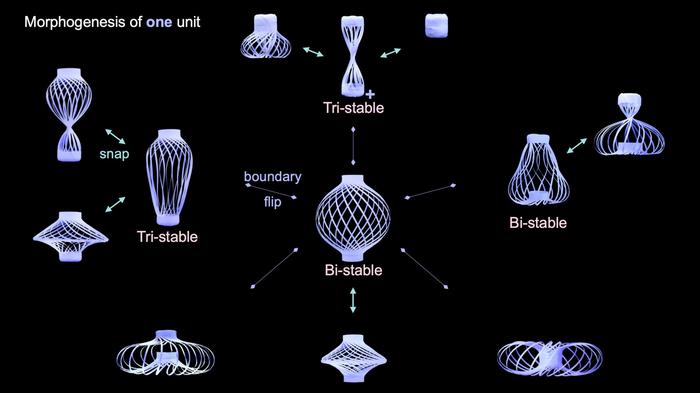 Shape-shifting structure assumes more than a dozen shapes