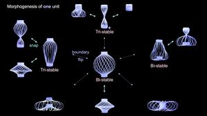 Shape-shifting structure assumes more than a dozen shapes