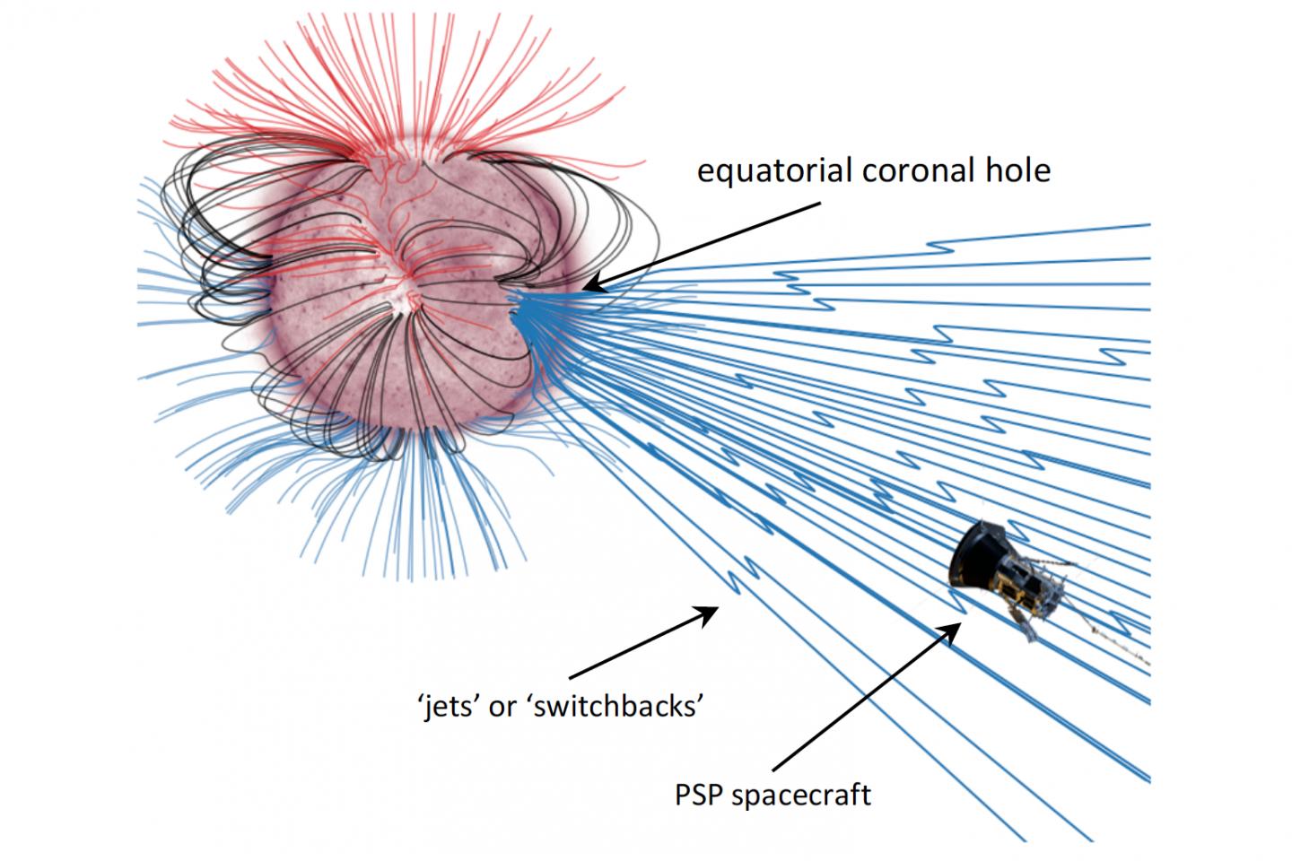 Magnetic Environment of the Sun as Observed by Parker Solar Probe