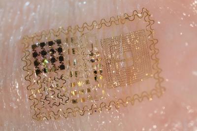 Stretchable Electronic 'Skin' (1 of 9)