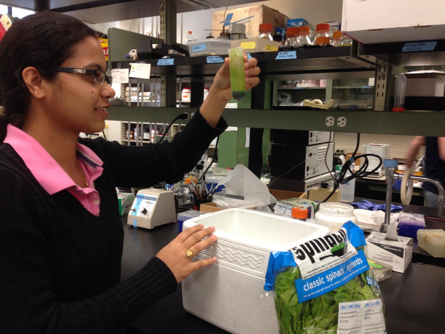 Manjula Mummadisetti, Louisiana State University