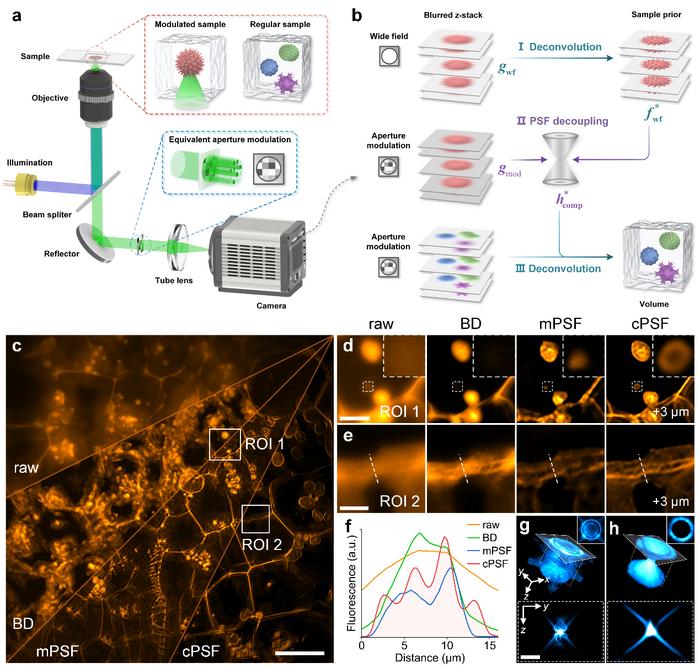 Figure | PSF decoupling and deconvolution.