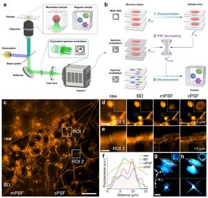 Figure | PSF decoupling and deconvolution.