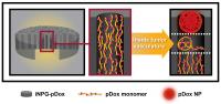 Ferrari/Shen <i>Nature Biotechnology</i> Paper