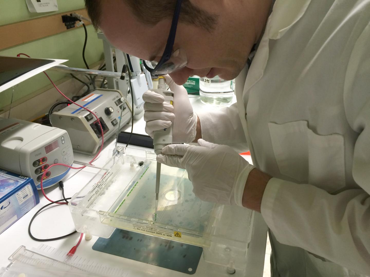 Andrew King, Oak Ridge National Laboratory
