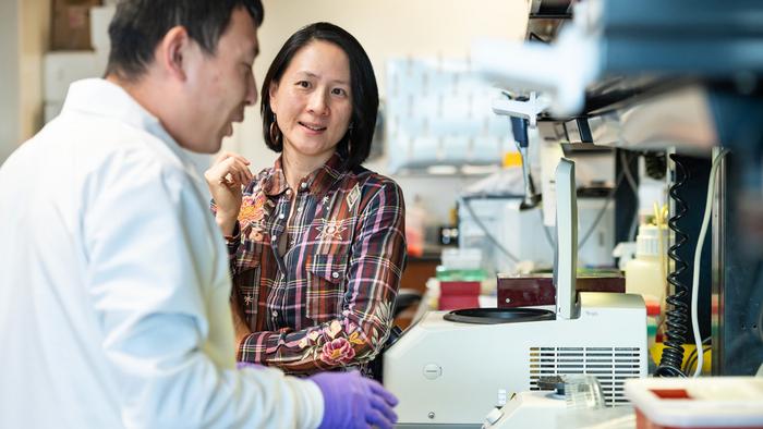 Understanding Long COVID Immune Response