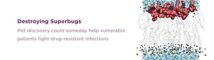 Destroying Superbugs