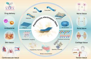The microarchitecture/enhancement strategies on piezoelectric electrospun fibers and their application in tissue engineering.