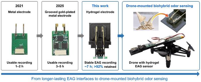 Evolution of EAG electrodes toward drone-mounted biohybrid odor sensing