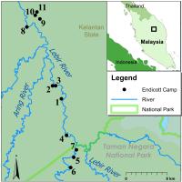 Map of Batek Foragers, Who Occupied 11 Camps
