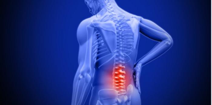 Low back pain and spinal degeneration