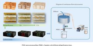 Rattan Waste Turned into High-Performance Microreactor for Water Purification