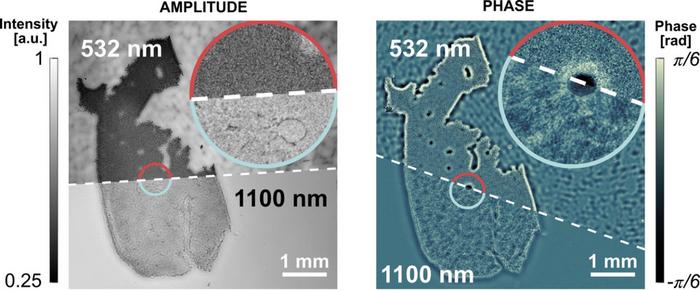 Near-Infrared Holography and Extended Sample-Sensor Distance Enhance Lensless Imaging