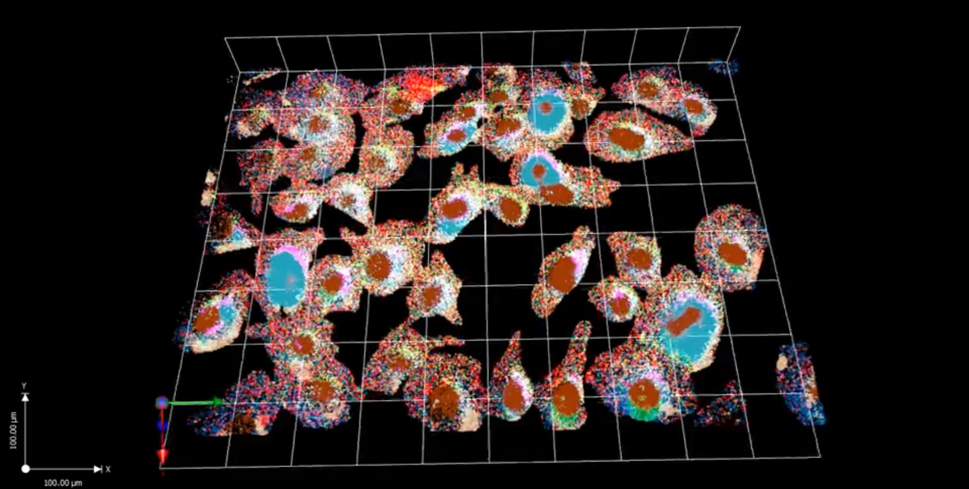 Multiplex Clusters