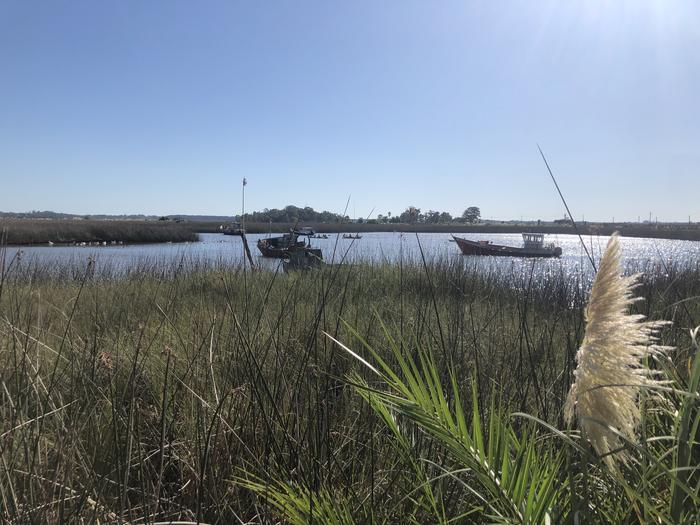 Uruguay's wetlands