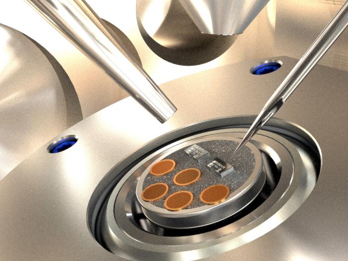 Lithium dendrite for testing