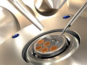 Lithium dendrite for testing