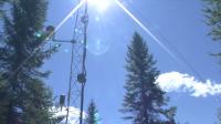 SPRUCE: Spruce and Peatland Responses Under Changing Environments