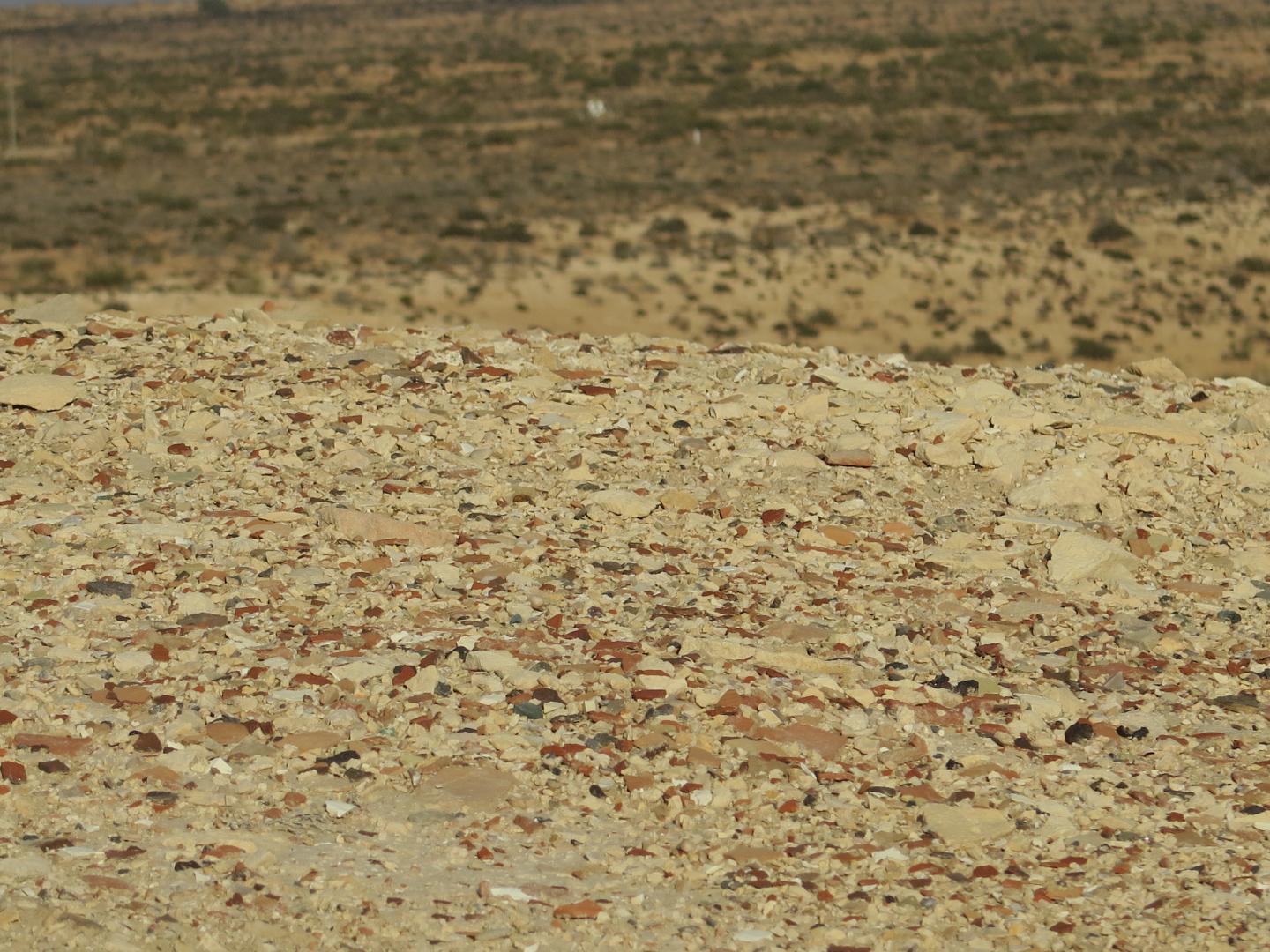 Close-up view of Elusa trash mound.