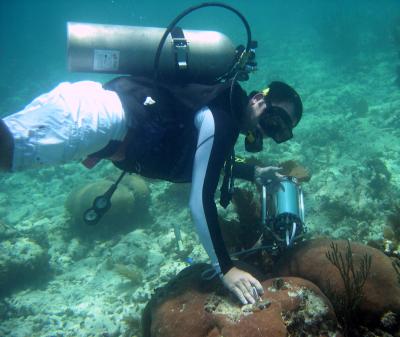 Coral Sampling