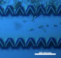 Silicon Device Graphic