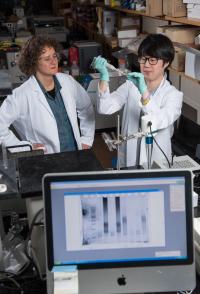 Ribose-seq Testing