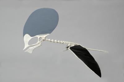 prF01