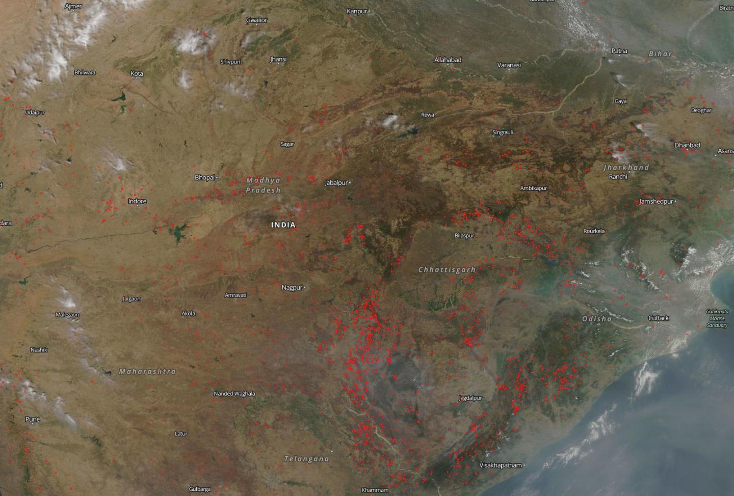 Forest Fires in India Common Before the Monsoon