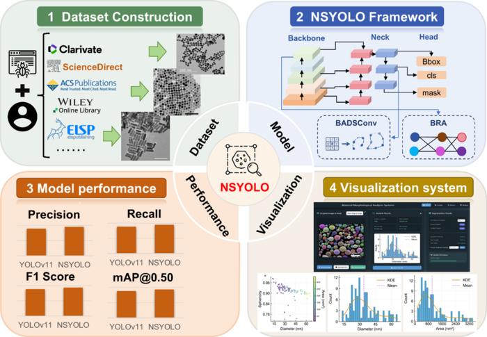 NSYOLO framework for automated nanoparticle segmentation in SEM/TEM images, integrating boundary-aware convolution and attention mechanisms to improve segmentation accuracy in complex nanoparticle environments.