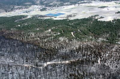 Wallow Fire Fuel Treatment