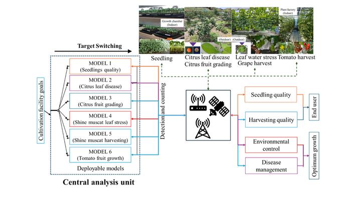 Multi-crop deep learning model integrated with an AI-assisted semi-automatic annotation framework