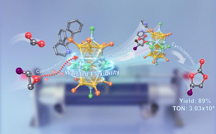 Waisted flexibility of Au13Ag12-Py intrigued epoxide-CO2 cyclization