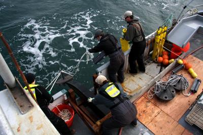 Tracking Young Salmon in the Ocean (1 of 2)