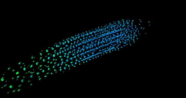 Differential cell permeability time lapse movie