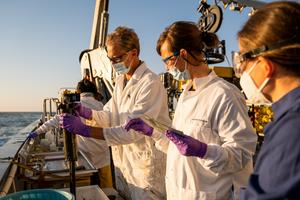 Examining Sediment Cores from DDT Dumpsite