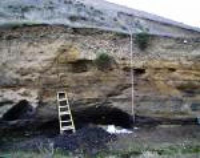 Dark Layer of Sediment