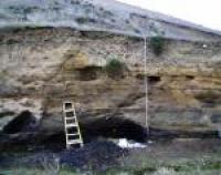Dark Layer of Sediment