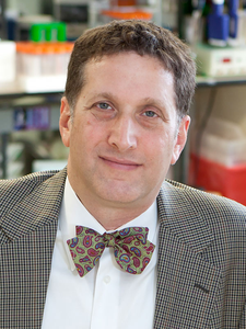 Steven Almo, Ph.D.,
